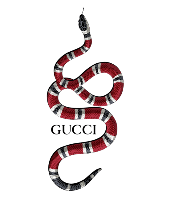 Snake gg iron on heat transfers