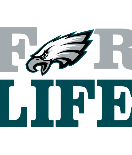 Eagles sports heat transfers