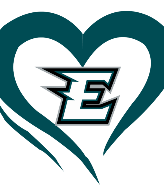 Eagles sports heat transfers