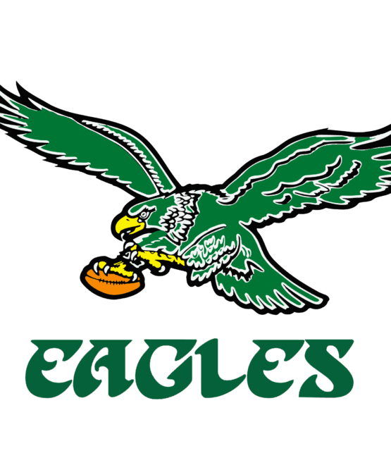 Eagles sports heat transfers
