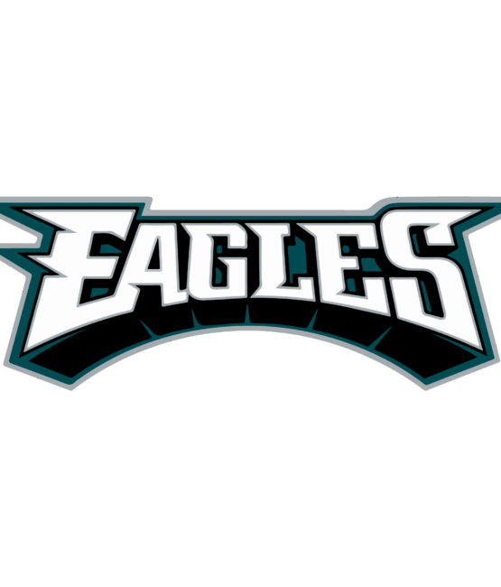 Eagles sports heat transfers